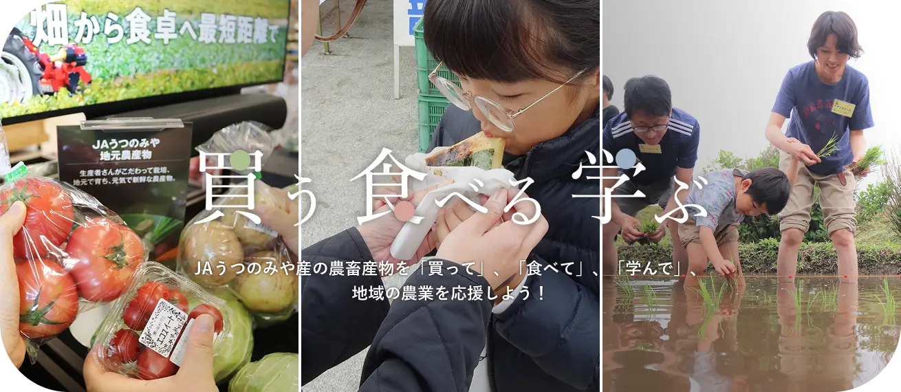 買う 食べる 学ぶ JAうつのみや産の農畜産物を「買って」、「食べて」、「学んで」、地域の農業を応援しよう！